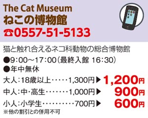 ねこの博物館割引クーポン券